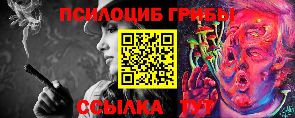 Галлюциногенные грибы Psilocybine cubensis  Вход с VPN  Псилоцибиновые грибы GOLDEN TEACHER  купить  цена  Кудрово 