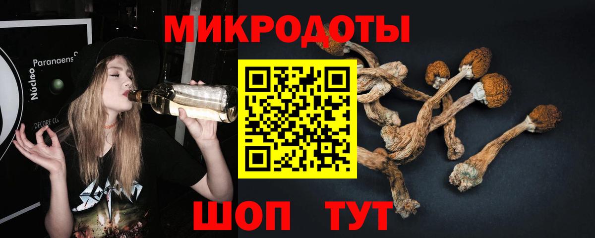 Галлюциногенные грибы прущие грибы Кудрово